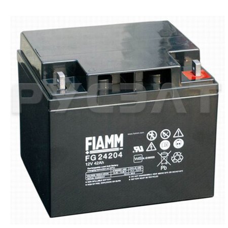 Аккумуляторная батарея FIAMM FG24204